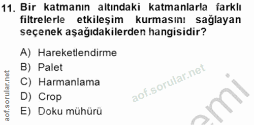 Soru 11