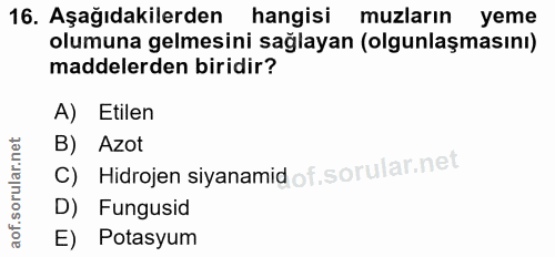 Soru 16