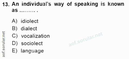 Soru 13