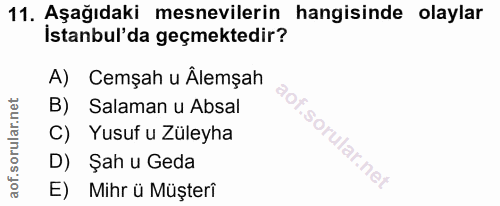 Soru 11