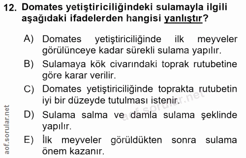 Soru 12