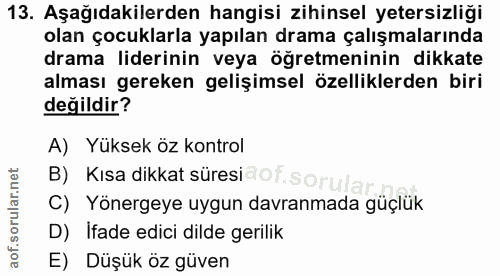 Soru 13