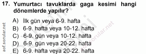 Soru 17