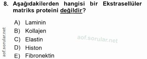 Soru 8