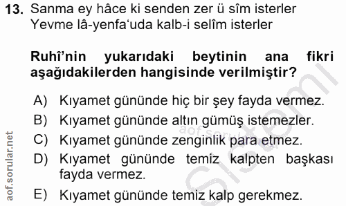 Soru 13