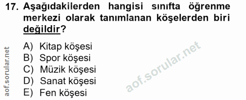 Soru 17