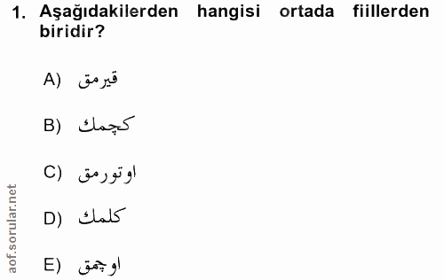 Soru 1