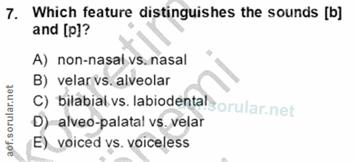 Soru 7