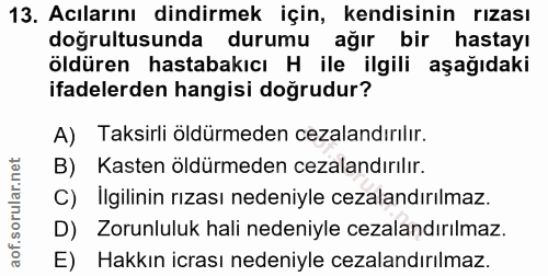 Soru 13