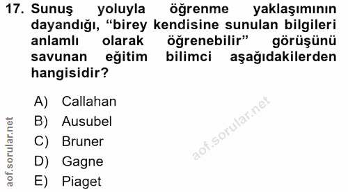 Soru 17