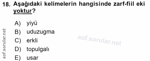 Soru 18