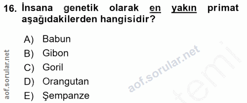 Soru 16