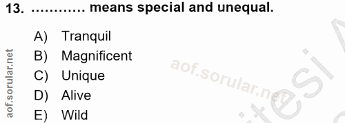 Soru 13