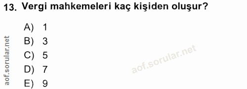 Soru 13