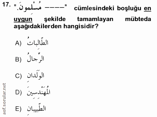 Soru 17