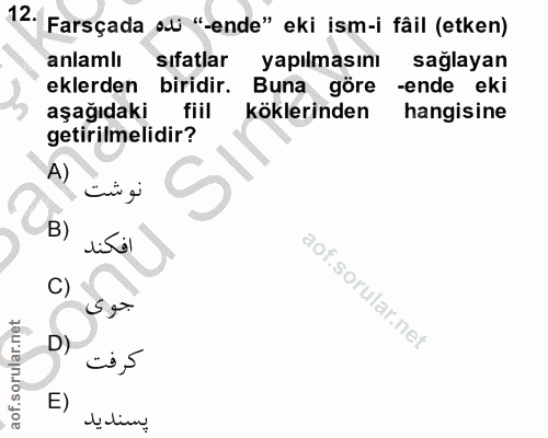 Soru 12