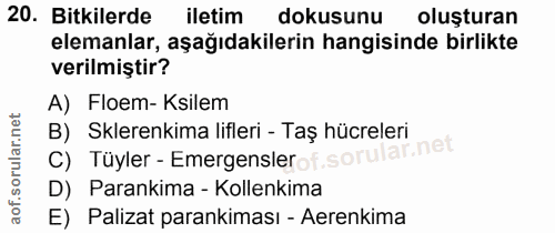 Soru 20