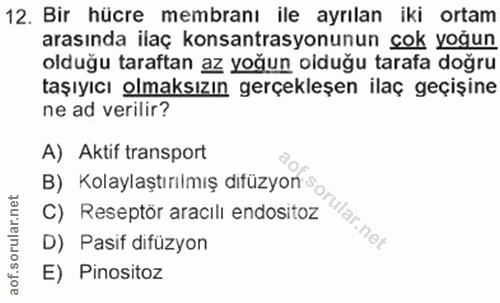 Soru 12