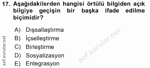 Soru 17