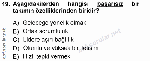 Soru 19