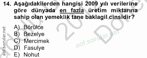 Soru 14