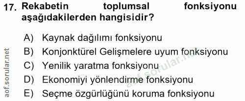 Soru 17