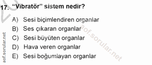 Soru 17