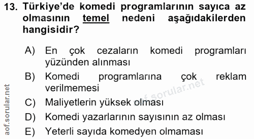 Soru 13