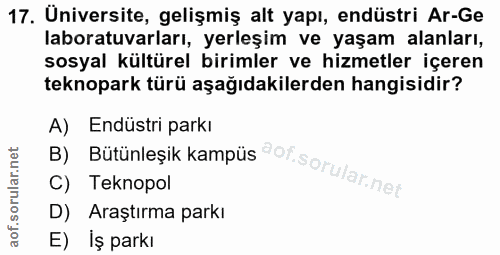 Soru 17