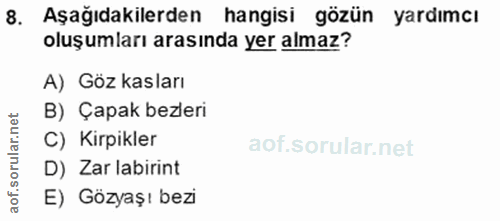 Soru 8