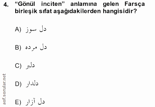 Soru 4