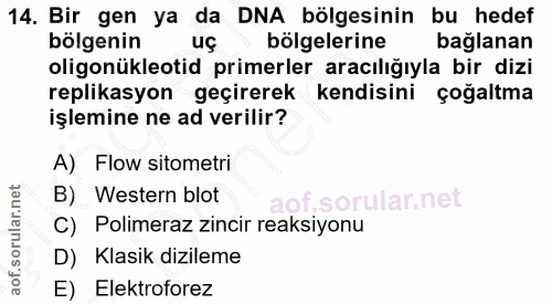 Soru 14