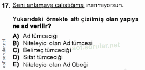Soru 17