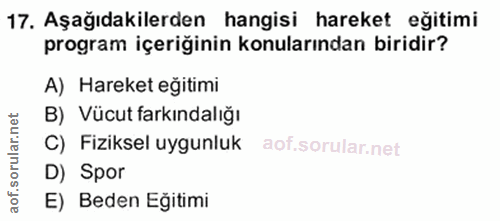 Soru 17