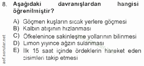 Soru 8