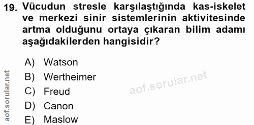 Soru 19