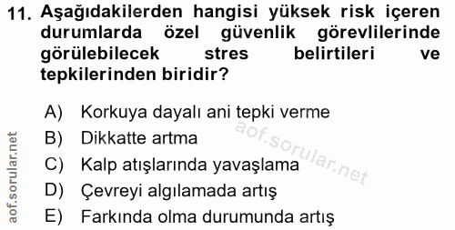 Soru 11