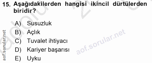 Soru 15