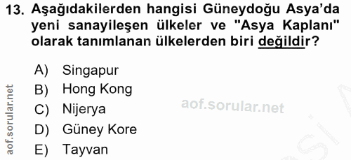Soru 13