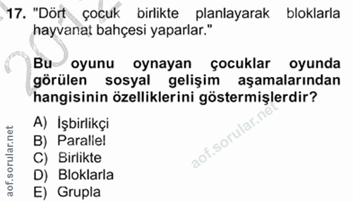 Soru 17
