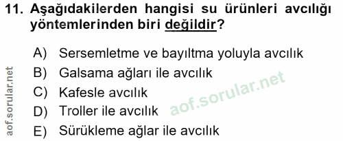 Soru 11