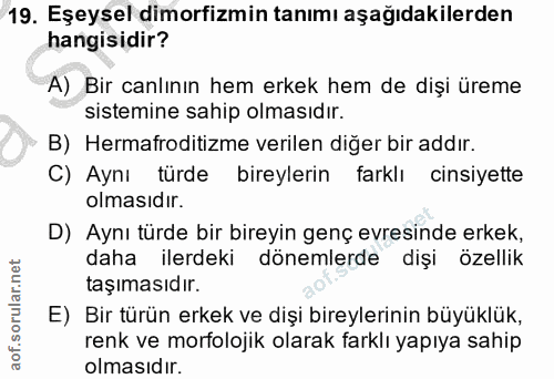 Soru 19