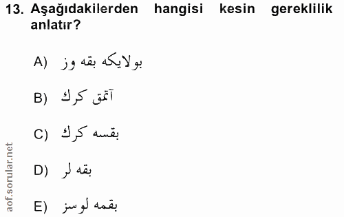 Soru 13