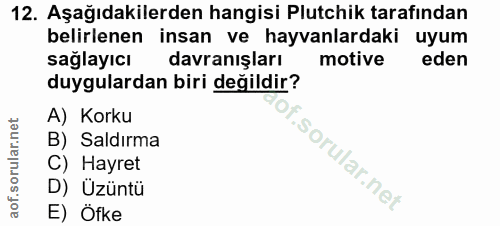Soru 12