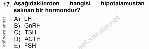 Soru 17