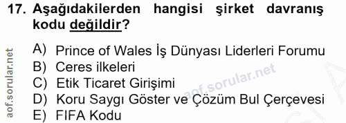 Soru 17