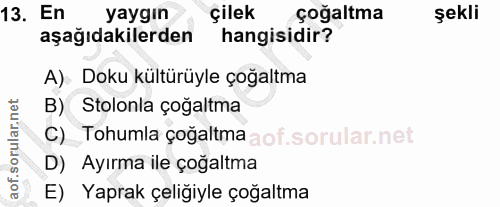 Soru 13