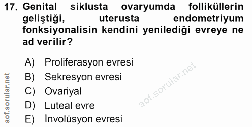 Soru 17