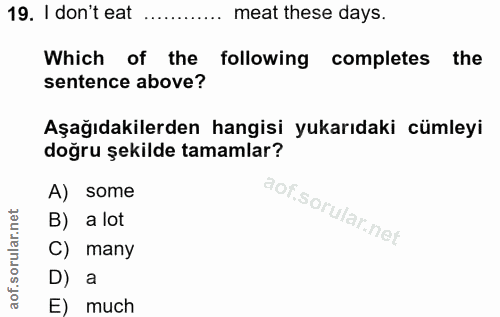 Soru 19