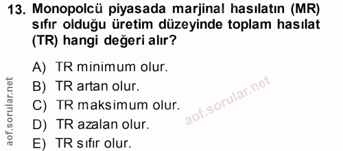 Soru 13